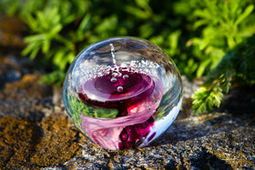 Dragonfly Snowfall Orb with Cremation Ash