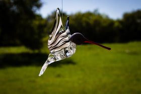Black and White Glass Hummingbird with Infused Ash