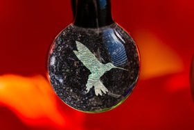 hummingbird-hologram-pendant-with-infused-cremation-ash