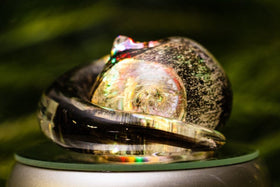 Illuminated Half-Tone Memorial Sleeping Glass Cat