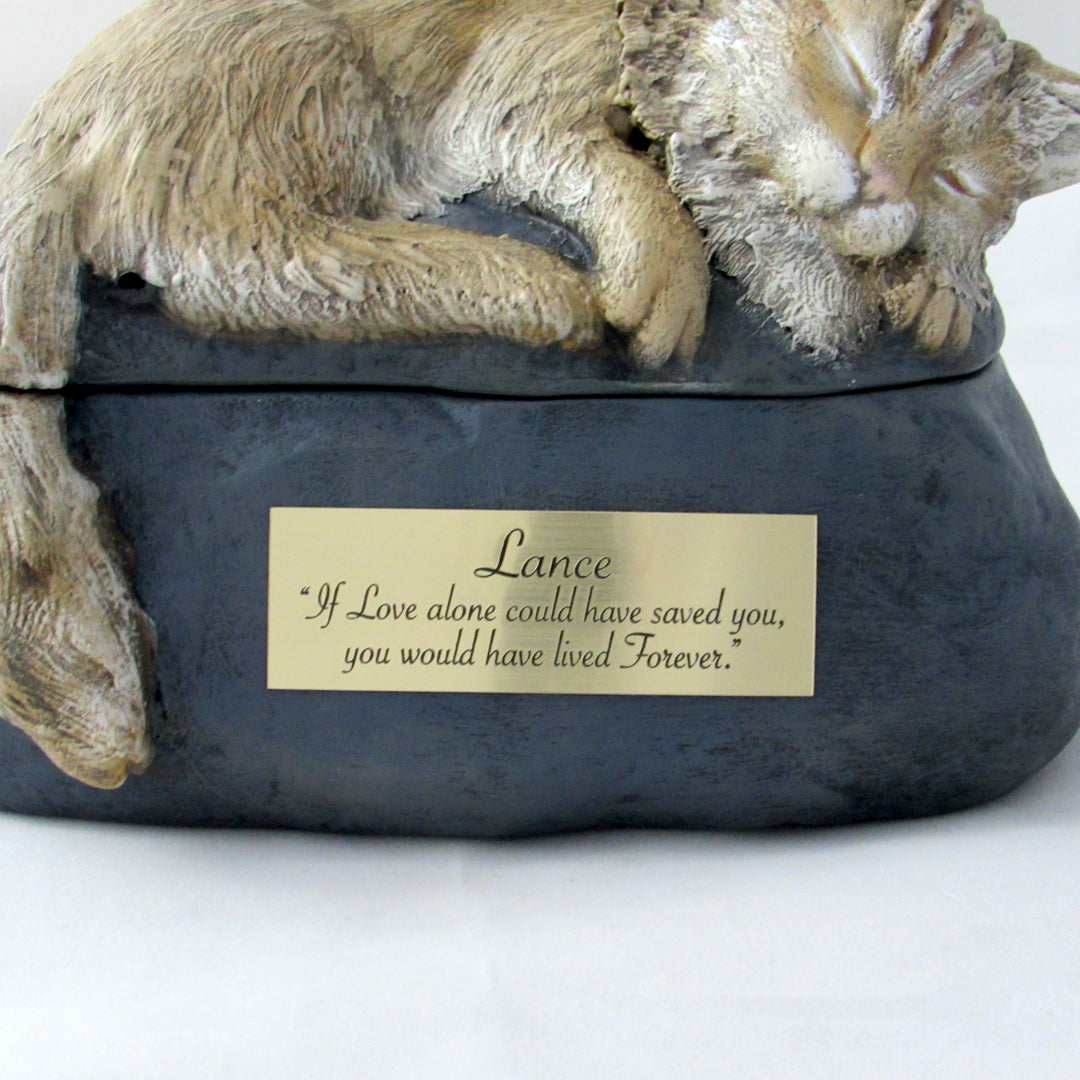 Close-up of the sleeping long-haired cat urn showing a gold inscription plaque on the dark base