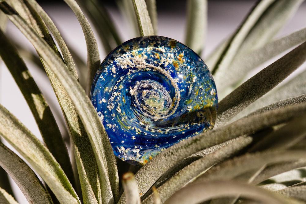 Flat blue galaxy worry stone infused with cremation ashes, nestled among plant leaves.