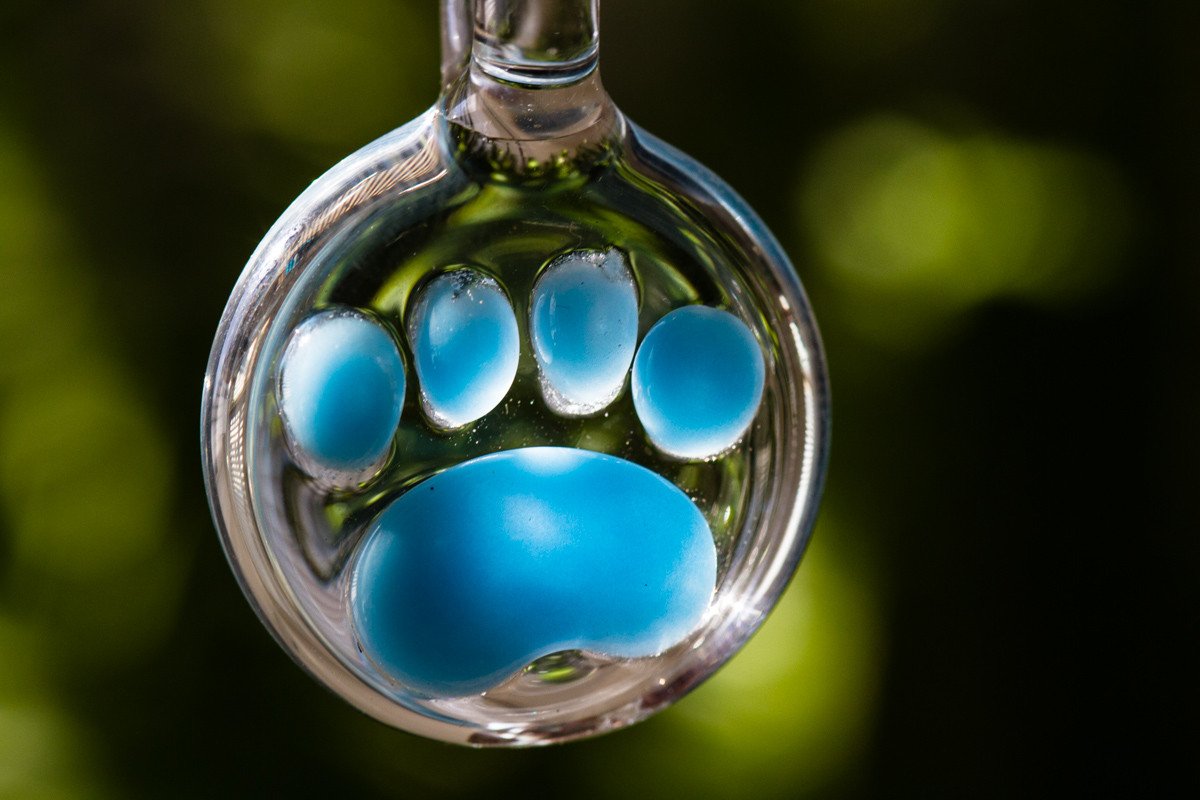 Buddy Paw Print Cremation Glass Pendant main image 1