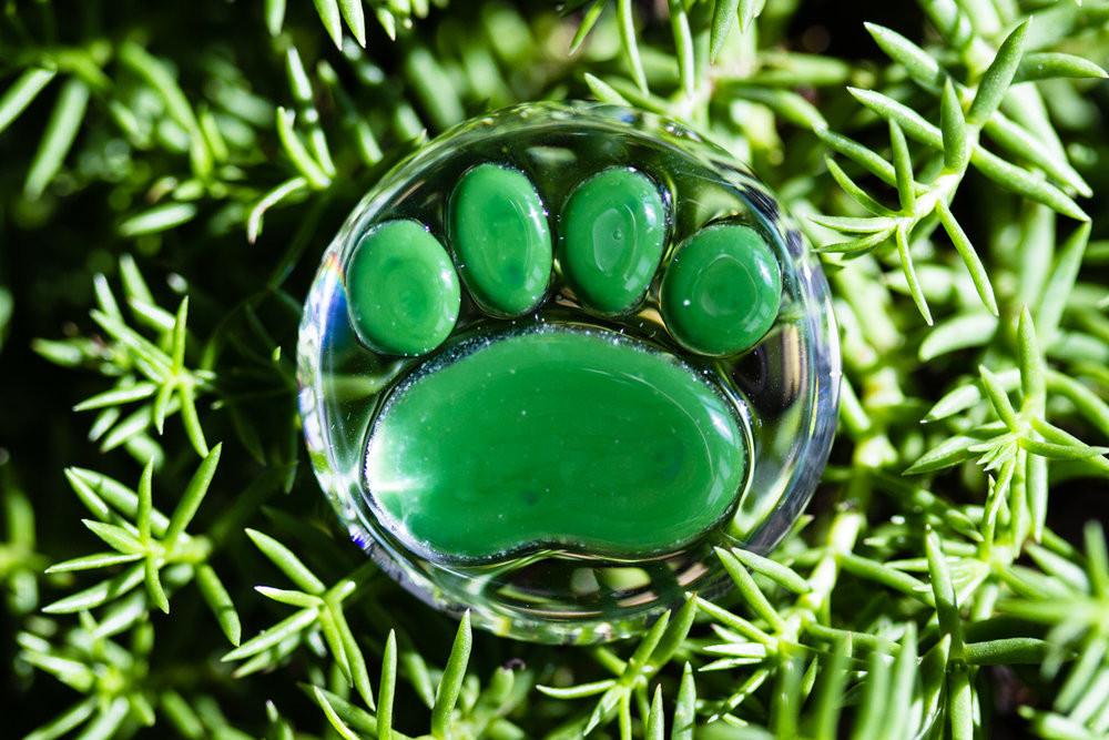 Round glass paw print touchstone nestled among green leaves, showing bright green pads and a clear glossy surface