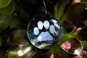 Pawprint Hologram Pendant with Infused Cremation Ash