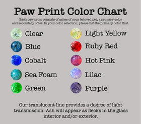 pawprint colors