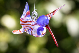 red white and blue hummingbird