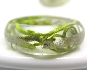 Moss Ring with Cremation Ash