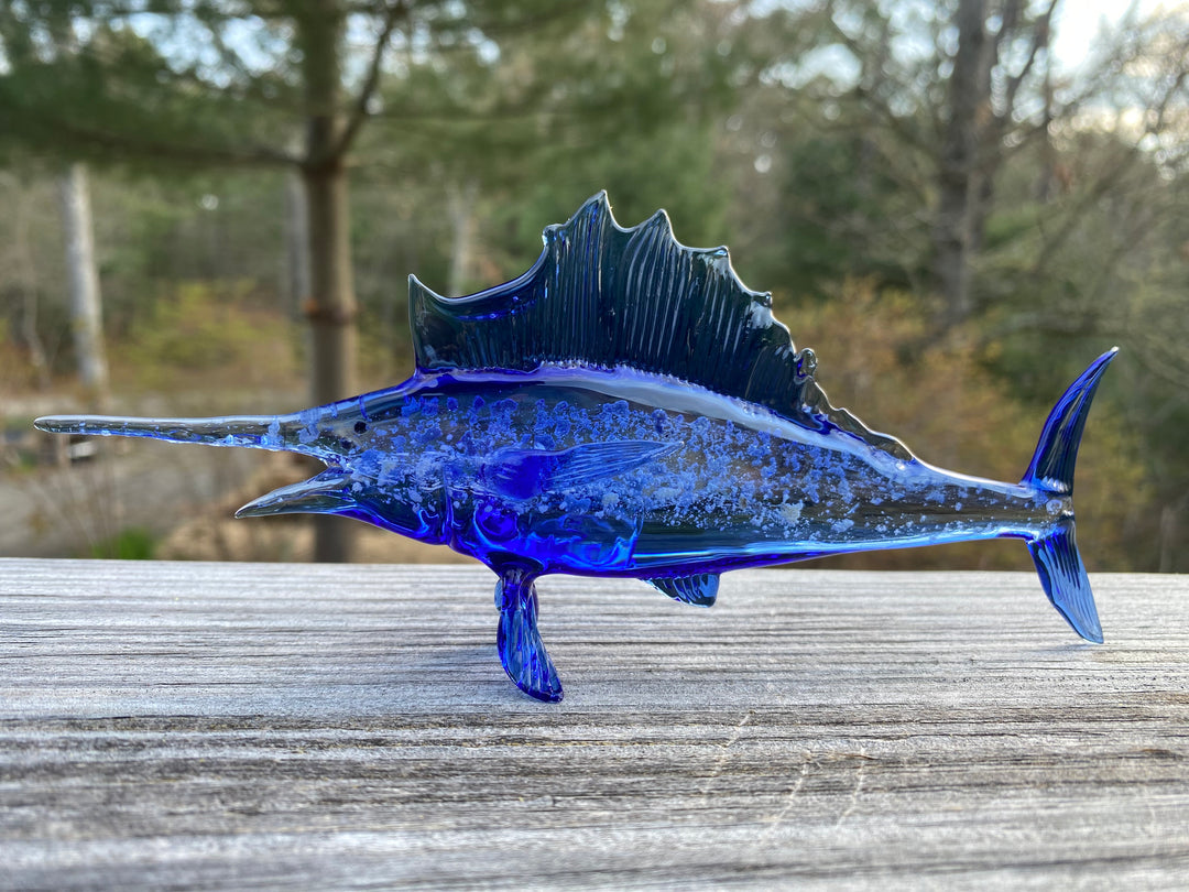 sailfish