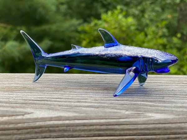 Blue glass shark figurine infused with cremains displayed on a wooden surface with a blurred green background.