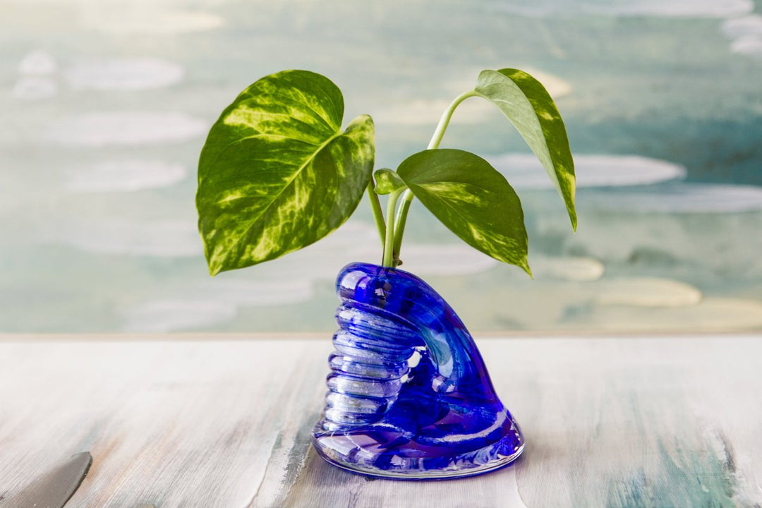 spiral bud vase with ash
