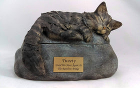 long hair cat with urn